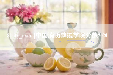 黄石中国消防救援学院分数2020
