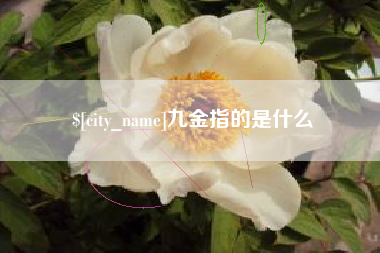 黄石九金指的是什么