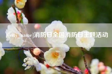 黄石消防日全国消防日主题活动