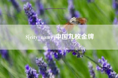 黄石中国九枚金牌
