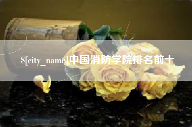 黄石中国消防学院排名前十