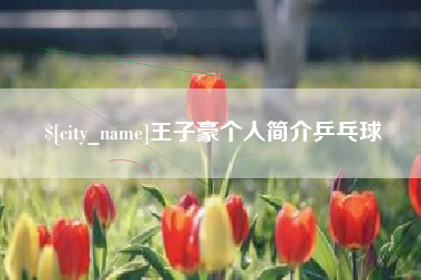 黄石王子豪个人简介乒乓球