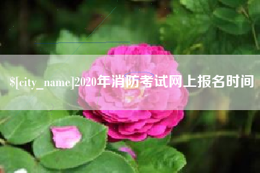 黄石2020年消防考试网上报名时间