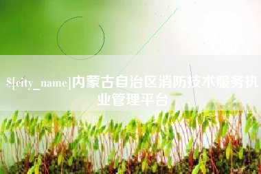 黄石内蒙古自治区消防技术服务执业管理平台