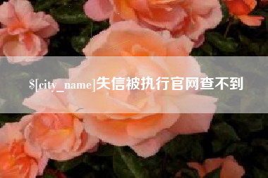 黄石失信被执行官网查不到