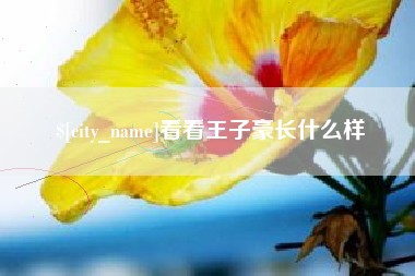 黄石看看王子豪长什么样