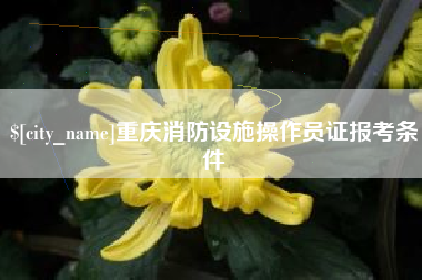 黄石重庆消防设施操作员证报考条件