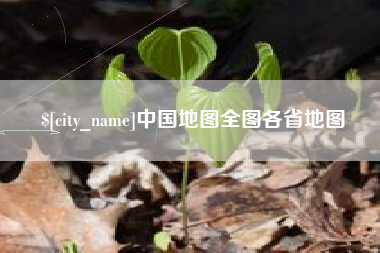 黄石中国地图全图各省地图