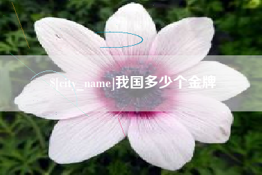 黄石我国多少个金牌