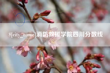黄石消防救援学院四川分数线