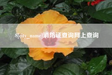 黄石消防证查询网上查询