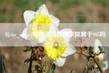 黄石中国消防救援学院属于985吗