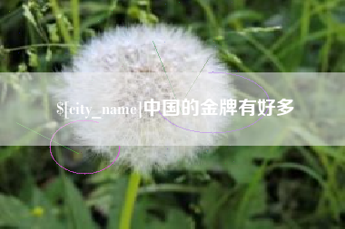 黄石中国的金牌有好多