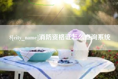 黄石消防资格证怎么查询系统