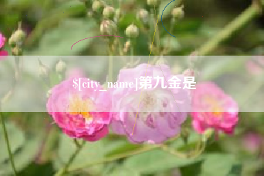 黄石第九金是