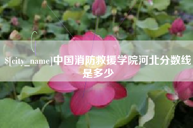 黄石中国消防救援学院河北分数线是多少