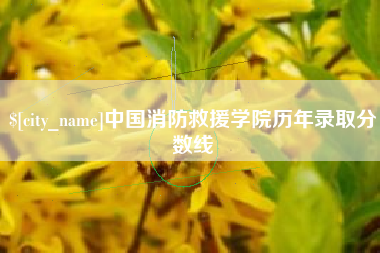 黄石中国消防救援学院历年录取分数线