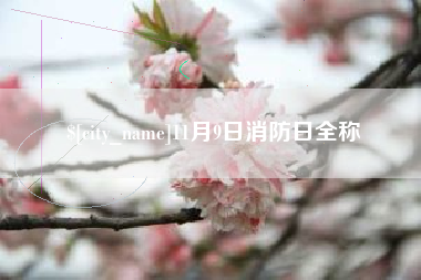 黄石11月9日消防日全称