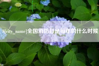 黄石全国消防日是每年的什么时候