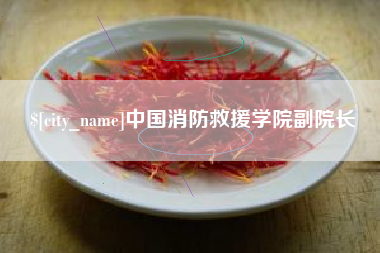 黄石中国消防救援学院副院长