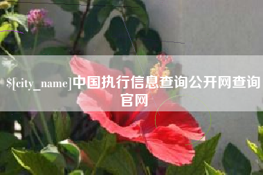 黄石中国执行信息查询公开网查询官网