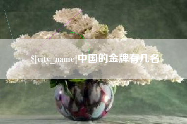 黄石中国的金牌有几名