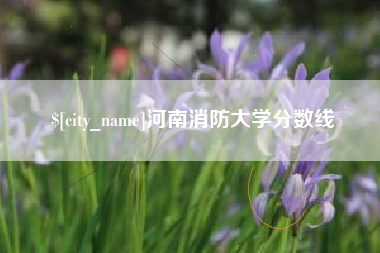 黄石河南消防大学分数线