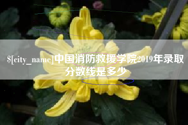 黄石中国消防救援学院2019年录取分数线是多少