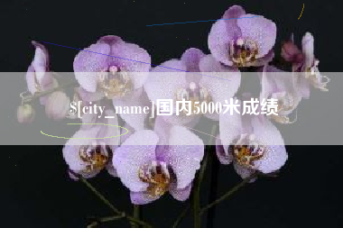 黄石国内5000米成绩