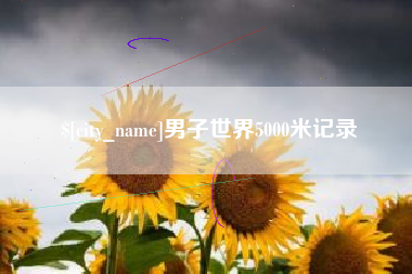 黄石男子世界5000米记录