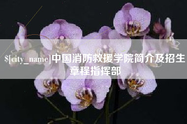 黄石中国消防救援学院简介及招生章程指挥部