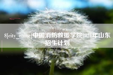 黄石中国消防救援学院2021年山东招生计划