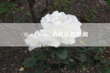 黄石消防证的查询