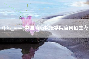 黄石中国消防救援学院官网招生办