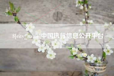 黄石中国执行信息公开平台