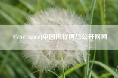 黄石中国执行信息公开网网