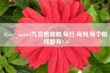 黄石九宫格规则,每行,每列,每个粗线都有1-9