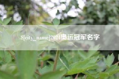 黄石2024奥运冠军名字
