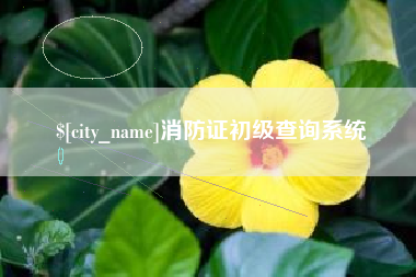 黄石消防证初级查询系统