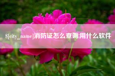 黄石消防证怎么查询,用什么软件