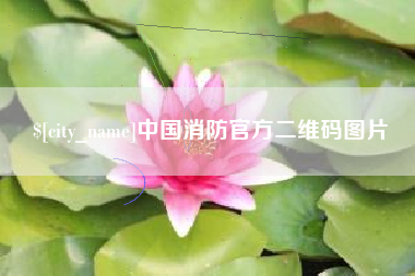 黄石中国消防官方二维码图片
