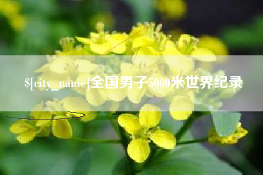 黄石全国男子5000米世界纪录