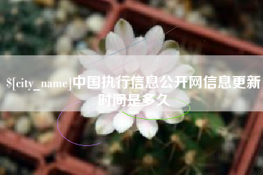 黄石中国执行信息公开网信息更新时间是多久