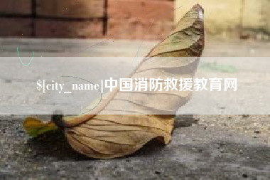 黄石中国消防救援教育网