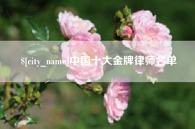 黄石中国十大金牌律师名单