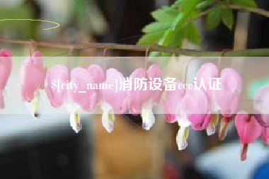 黄石消防设备ccc认证