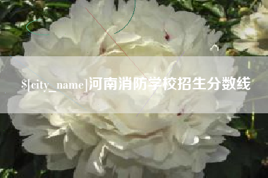 黄石河南消防学校招生分数线