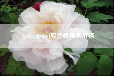 黄石应急救援员价格