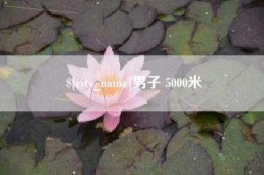 黄石男子 5000米
