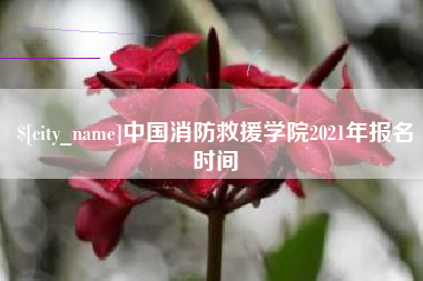黄石中国消防救援学院2021年报名时间